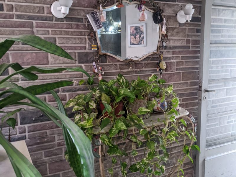 CASA EN PARQUE CHACABUCO